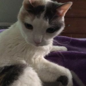 Meet your Posher, Diana